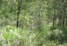 Yarras NSWorganic-gardening-5.jpg; ?>